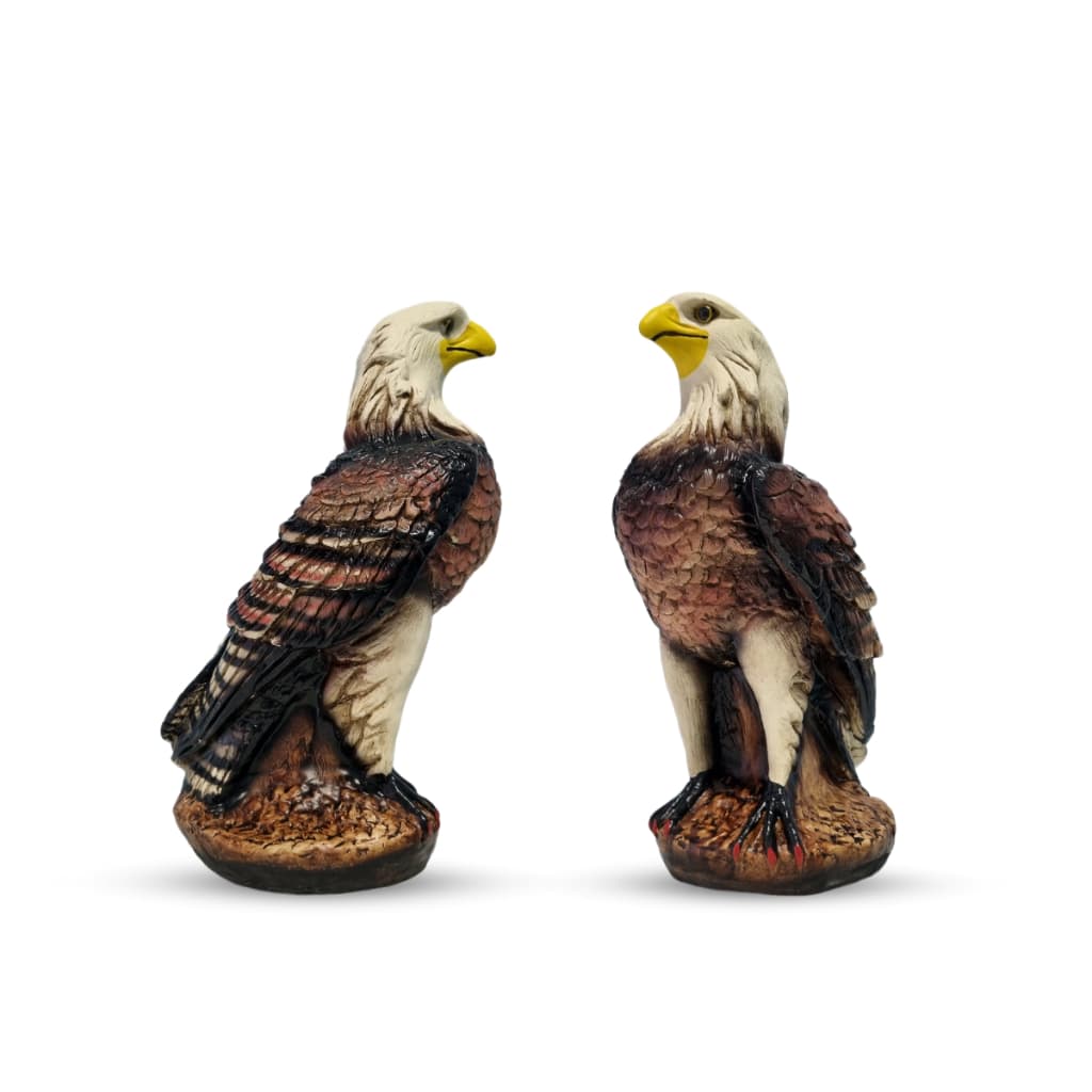 Kit 2 Gavião Águia Espanta Pombo e Pássaros 38 Cm Em Gesso - Estátua Pintura Exclusiva