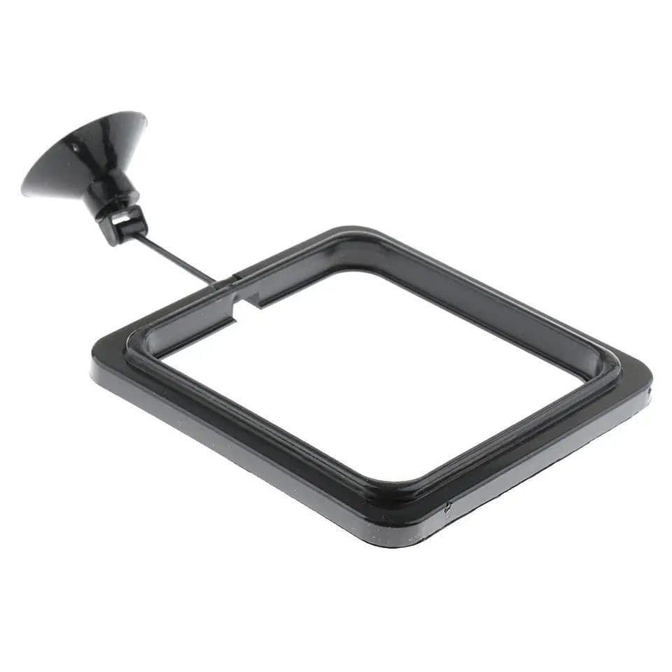 Anel Quadrado De Alimentação Alimentador Flutuante para Peixes Aquário 1pç