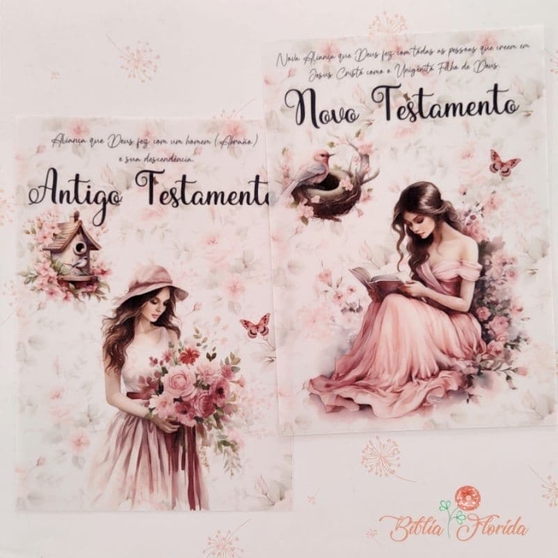 Velluns: Antigo e Novo Testamento - Rosa - Bible Journaling