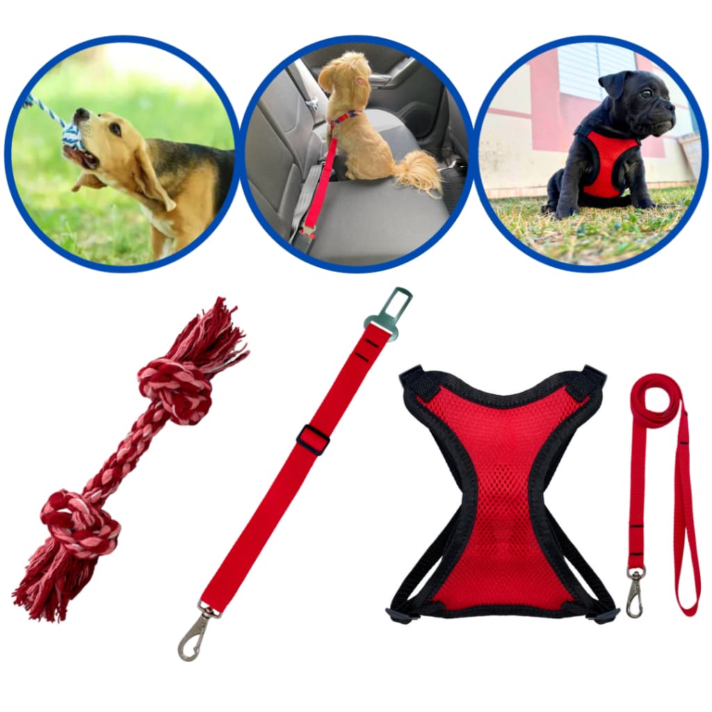 Kit 3 peças coleira peitoral colete + cinto de segurança pet + osso mordedor limpeza bucal cães e gatos