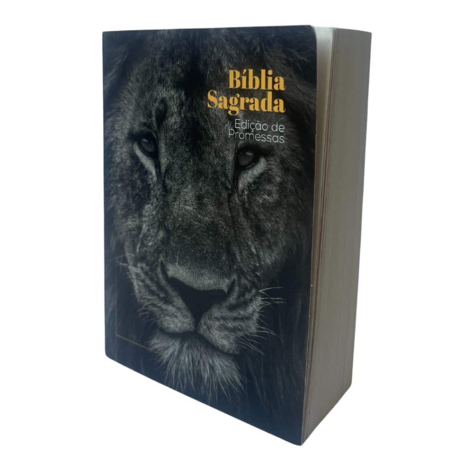 Bíblia Sagrada | Brochura | BOLSO