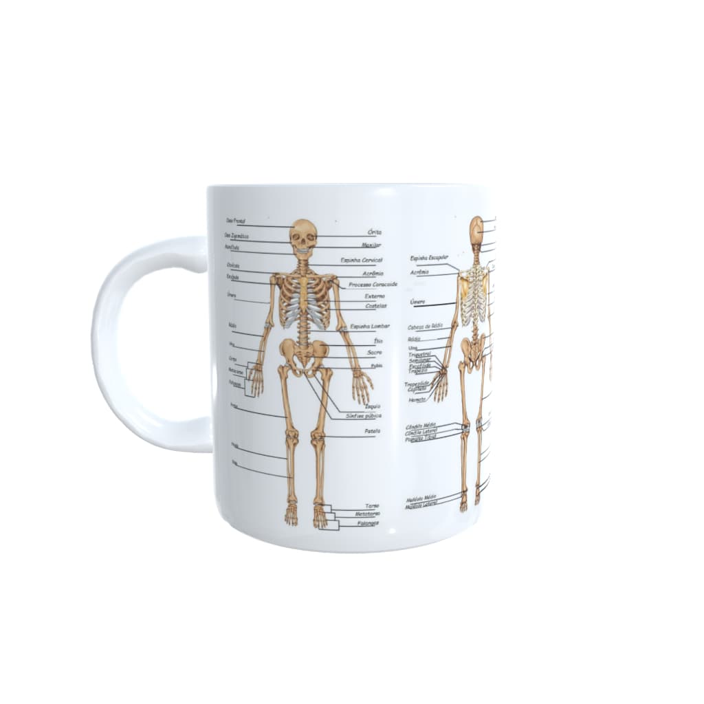 Caneca Medicina Anatomia Sistema Esquelético e Muscular Xícara Porcelana