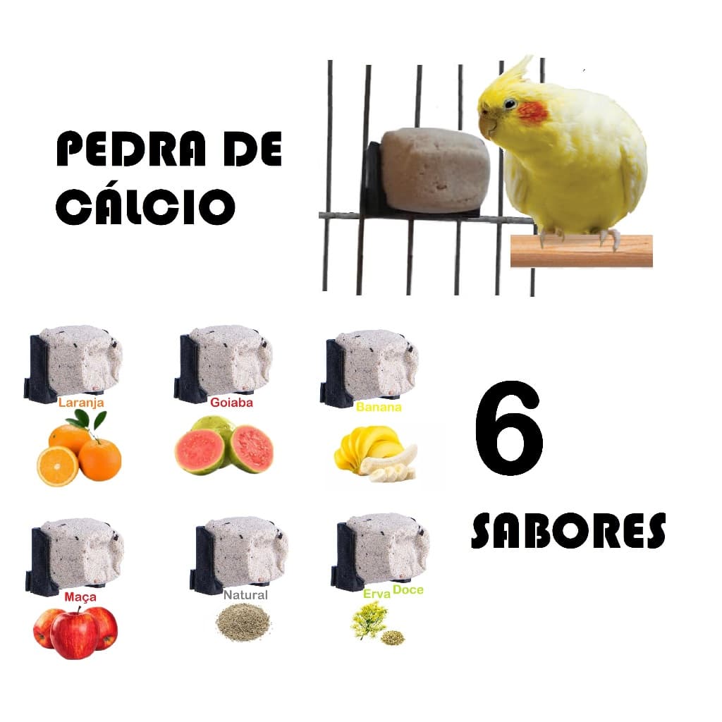 Cálcio para Calopsita – Kit 6 Blocos Bica Bica Vários Aromas Sabor para pássaros Agapornis Periquitos Ring Neck