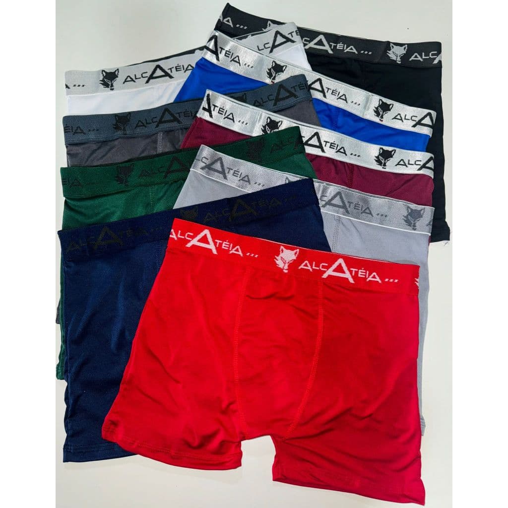KIT 5 CUECAS BOXER ADULTO MASCULINA 5 CUECA ADULTO MICROFIBRA LISA ALCATEIA