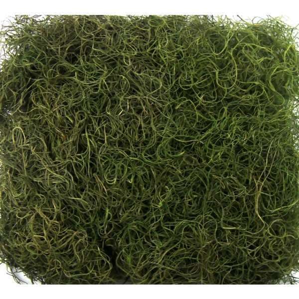Musgo Artificial Barba de Velho