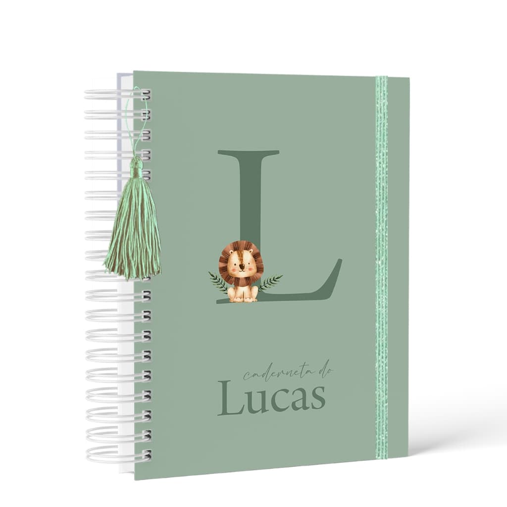 Caderneta de Saúde -Capa Dura Personalizada Menino - Vários temas 3