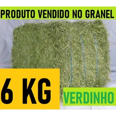 ATÉ 6 KG Feno Tifton 85 Verdinho Fininho para Porquinho da India, Coelho e Roedores em Geral