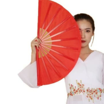 leque grande liso - C&S BAZAR -