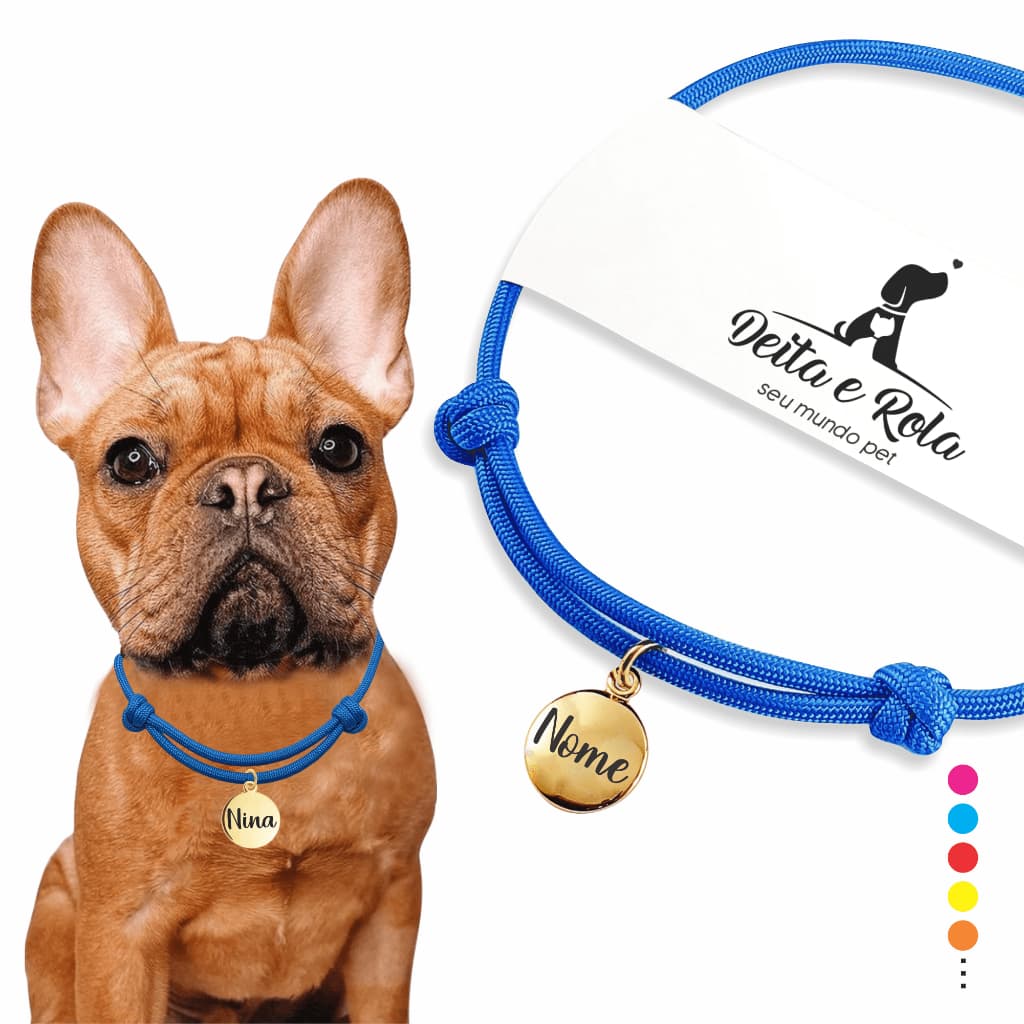 Coleira Com Placa De Identificação Cachorro Gato Personalizada