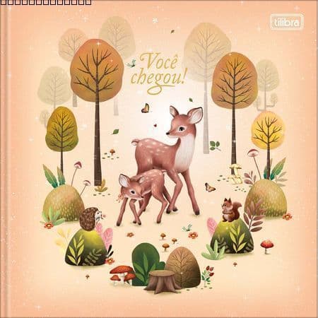 Diário / Livro do Bebe Capa Dura 34 Fls Tilibra