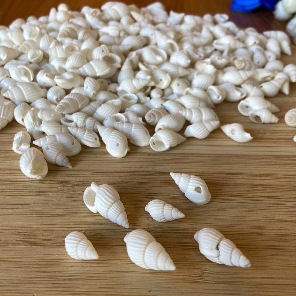 Aplique mini Concha Caracol  1,cm  Pacote Com 10 Unid Ou Mais