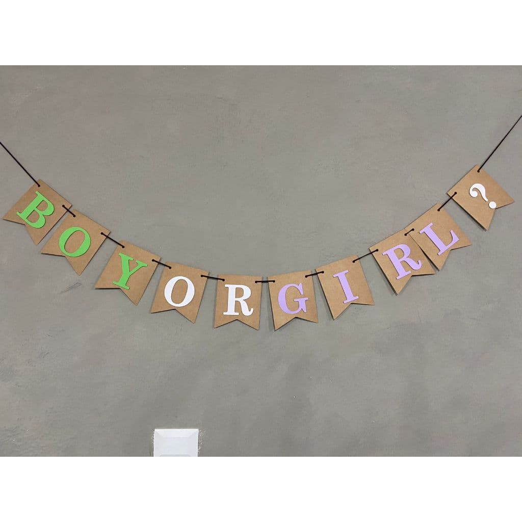 Faixa Bandeirinha Bandeirolas - Chá Revelação - Boy Or Girl? OPÇOES COLORIDAS