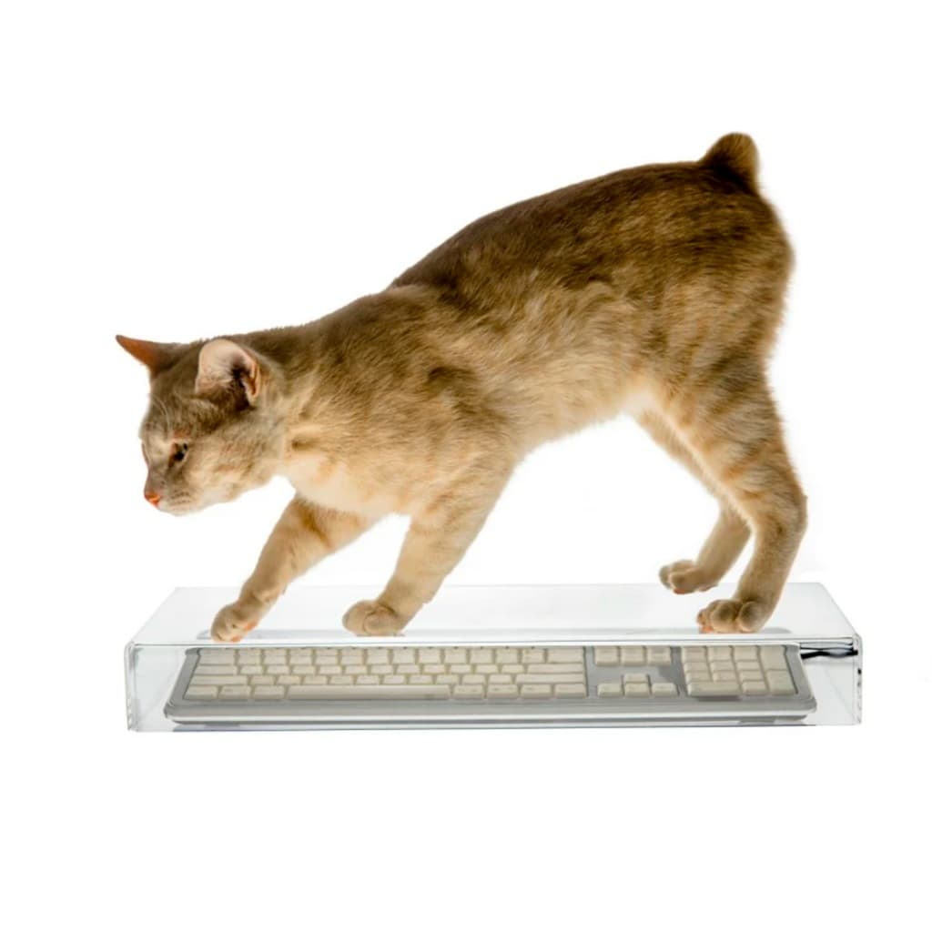 Capa e protetor de teclado