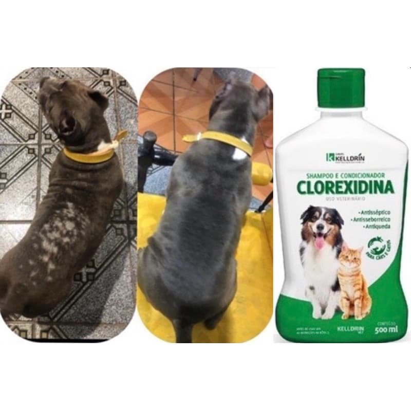 Tratamento Dermatite Atópica Canina Medicamento Shampoo Clorexidina Kelldrin Val: Julho 2027