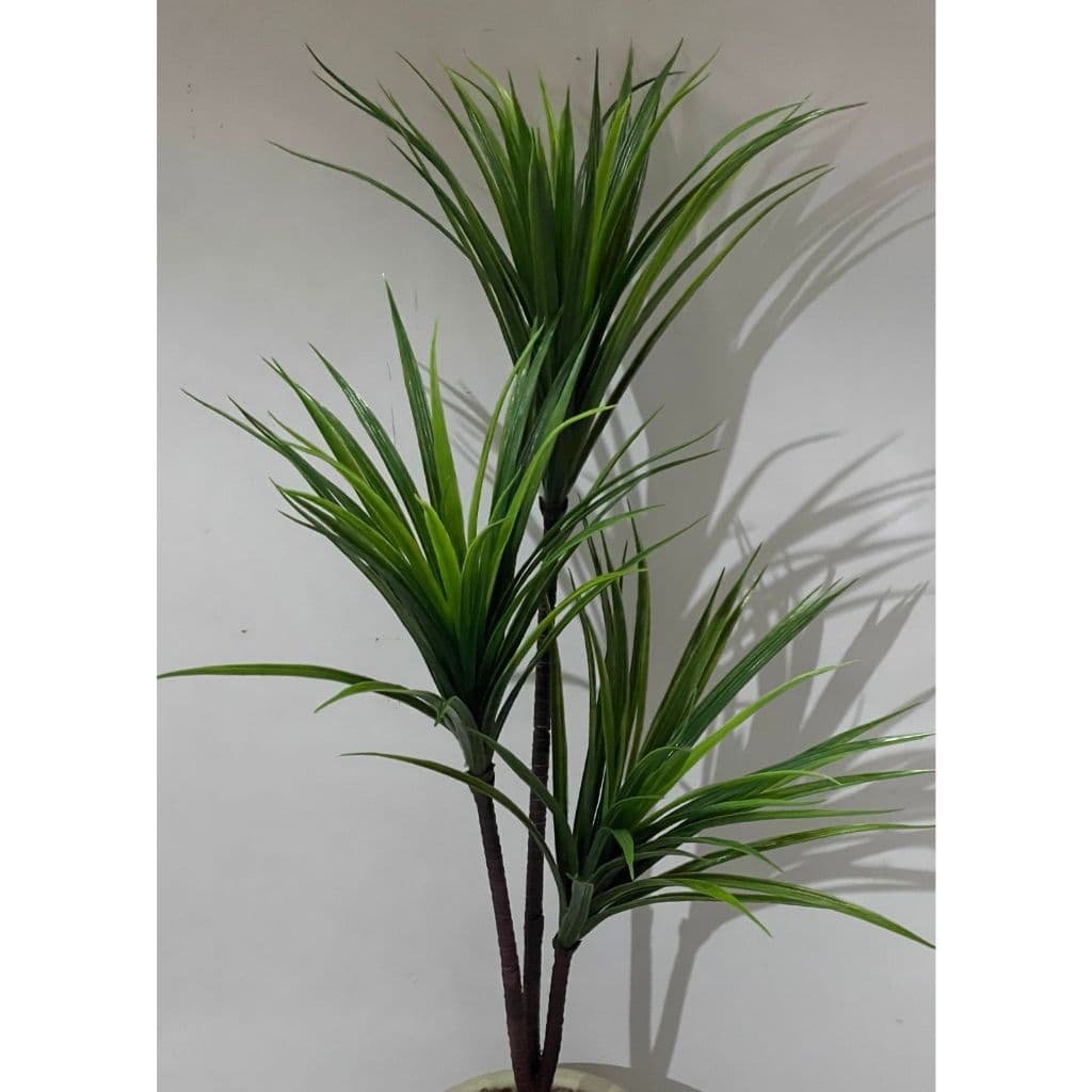 Yucca Artificial