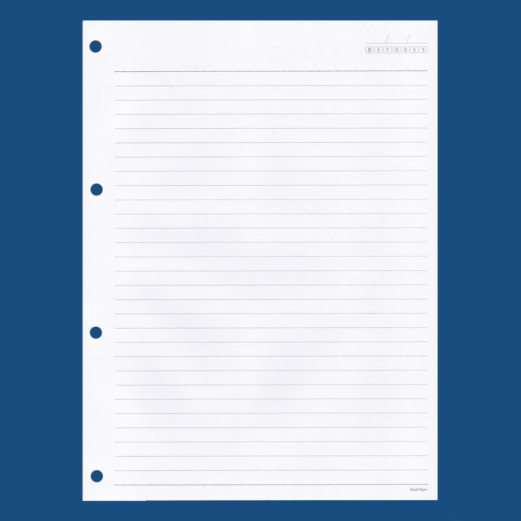 Bloco Folha de Fichário ROYAL PAPER 80fls 90g Pautados