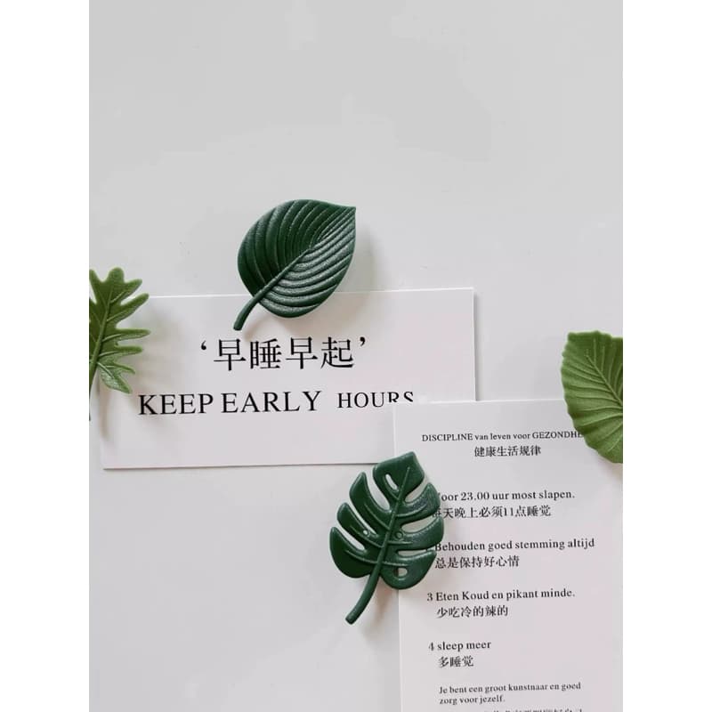Kit Imãs De Folha Costela de Adão Decorativo Magnético Para Pendura Avisos Em Geladeira