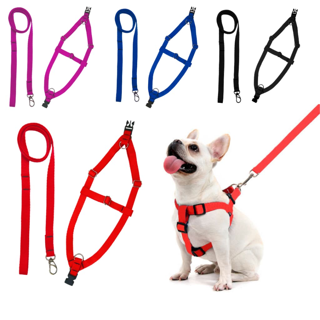 Peitoral e guia para cães pequeno porte ajuste de tamanho