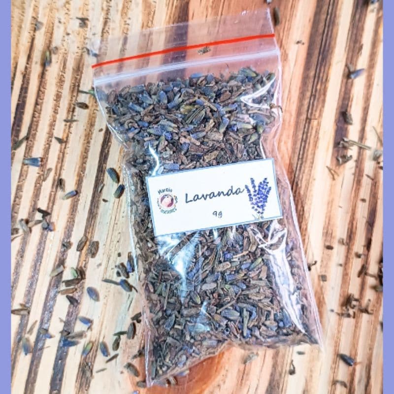 Lavanda/alfazema,desidratada, enriquecimento ambiental, hamster, Gerbil, roedores, topolino, camundongo, twister