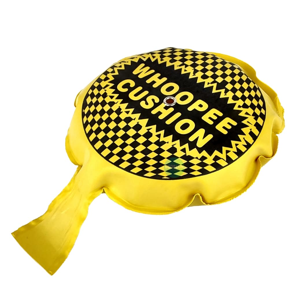 Almofada Do Pum Peido Pegadinha Tiktok Instagram