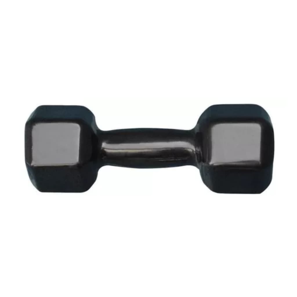 Par Halter Sextavado Emborrachado 4kg Musculação