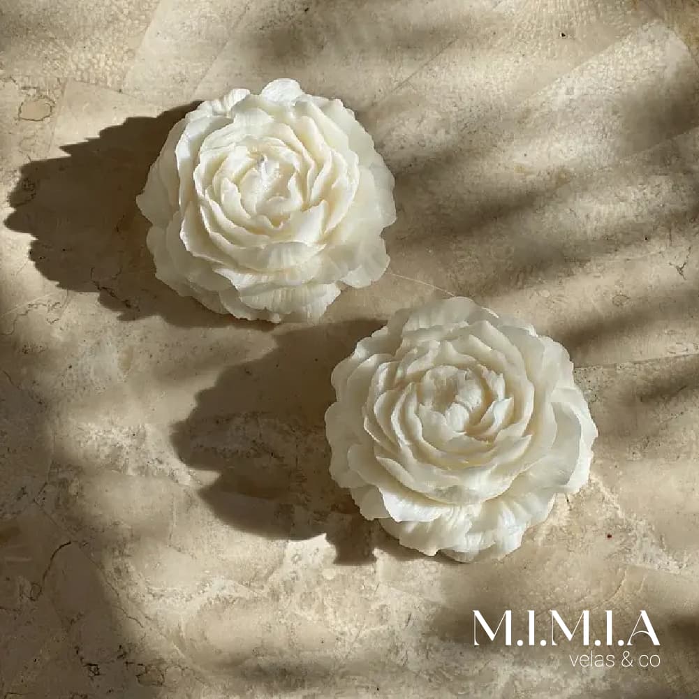 Kit Velas aromáticas flor peônia rosa cera de coco 100% vegetal diversas fragrâncias