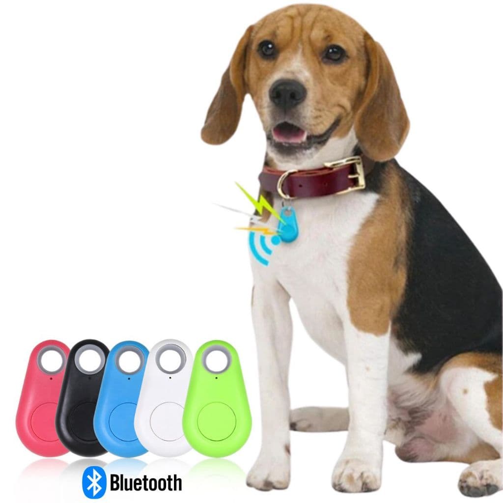 Rastreador Gps Pets Gato Cachorro Localizador