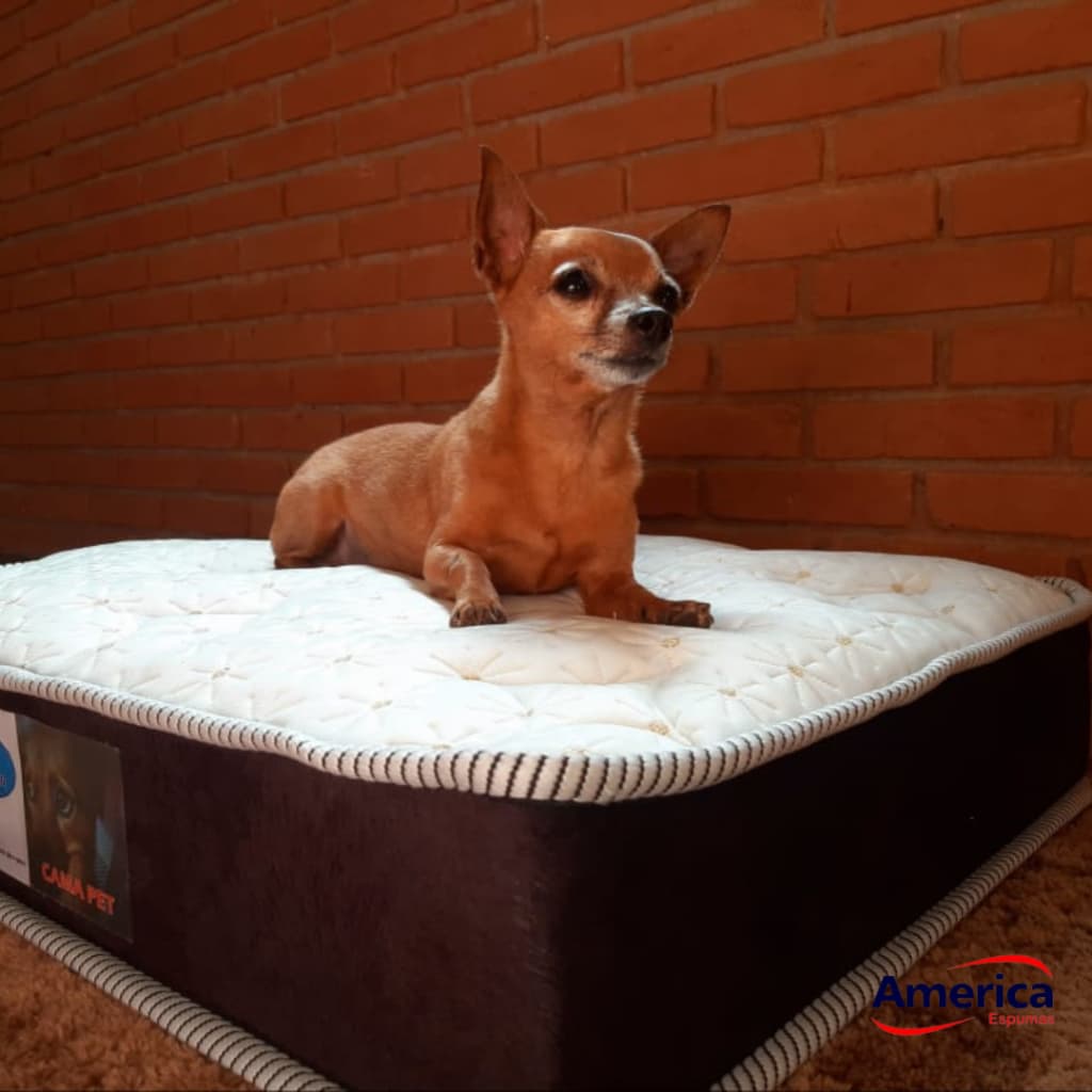 Colchão Pet 90x50x8cm Cama para Cachorro Confortável  Antialérgico Alta Qualidade