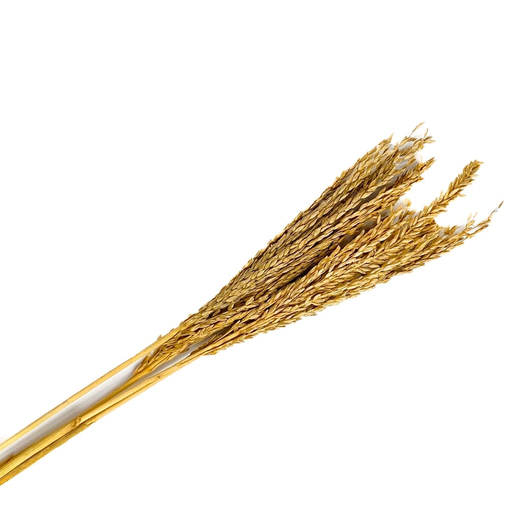 Spray Milho para Hamster Gerbil 4 unit (SEM ALVEJAR)