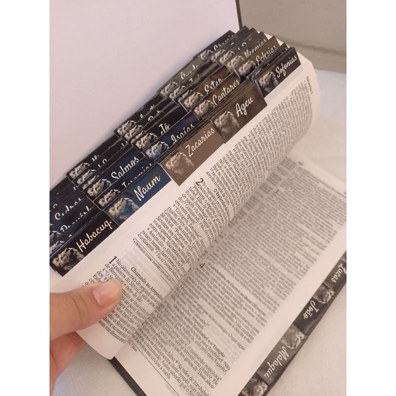 Abas divisórias adesivas Leão PREMIUM