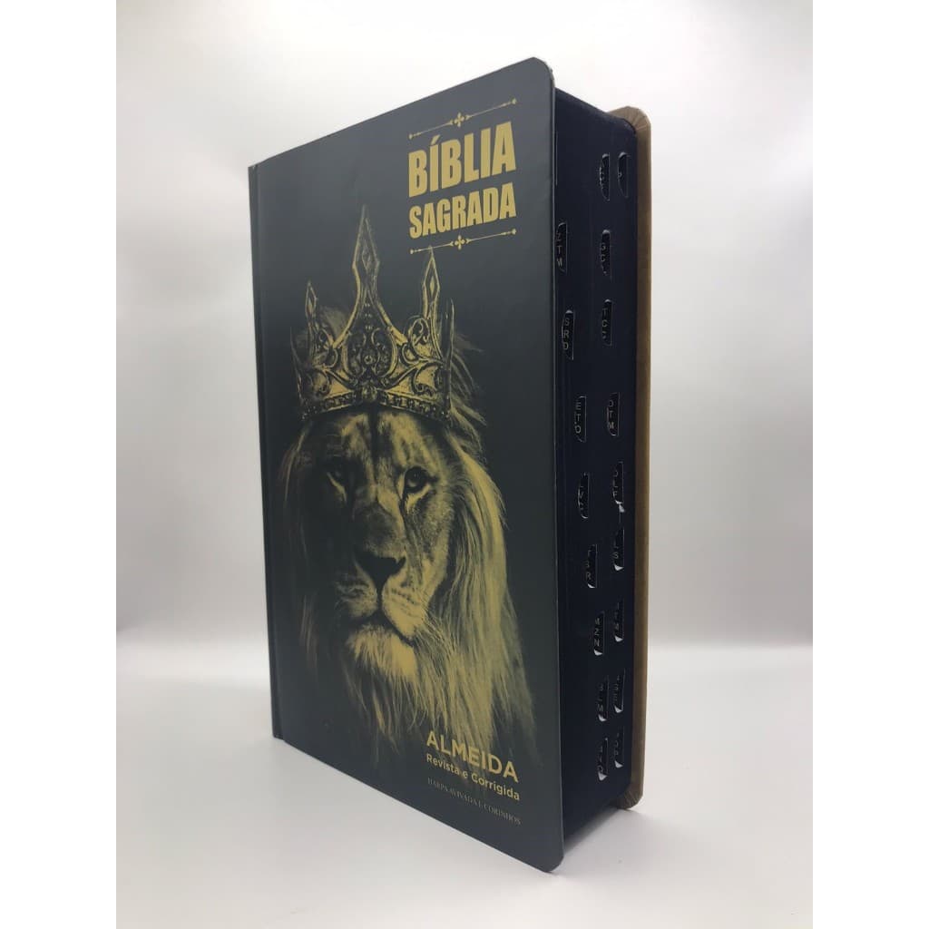 Bíblia Sagrada Tamanho Médio 12,5x19 cm Com Harpa palavras de Jesus em vermelho Ele Vive