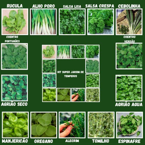 Sementes De Temperos 14 Tipos Diferentes Separados e  Identificados!