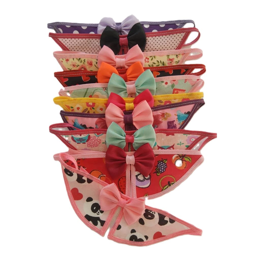 Colarinho Para Pet Cães e Gatos Petshop Acessório Pescoço c/10 Unidades