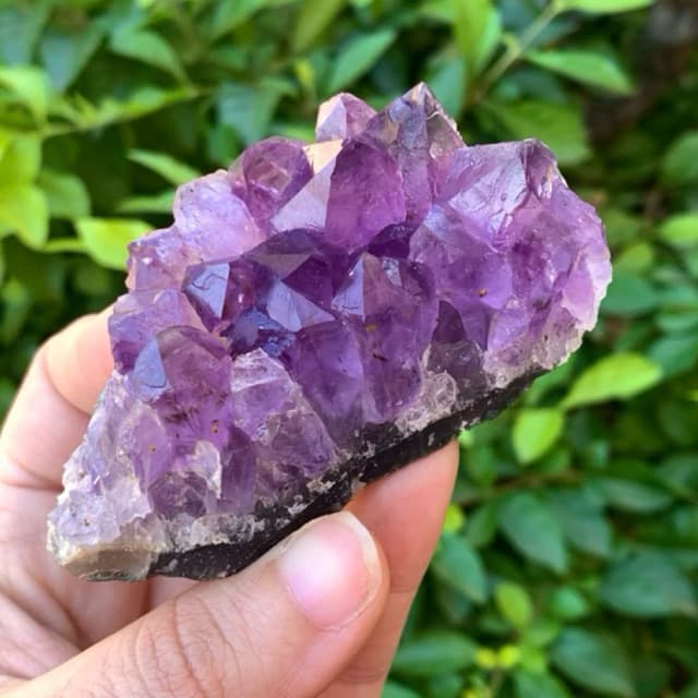 Mini Drusa de Ametista GG Pedras Brutas Naturais