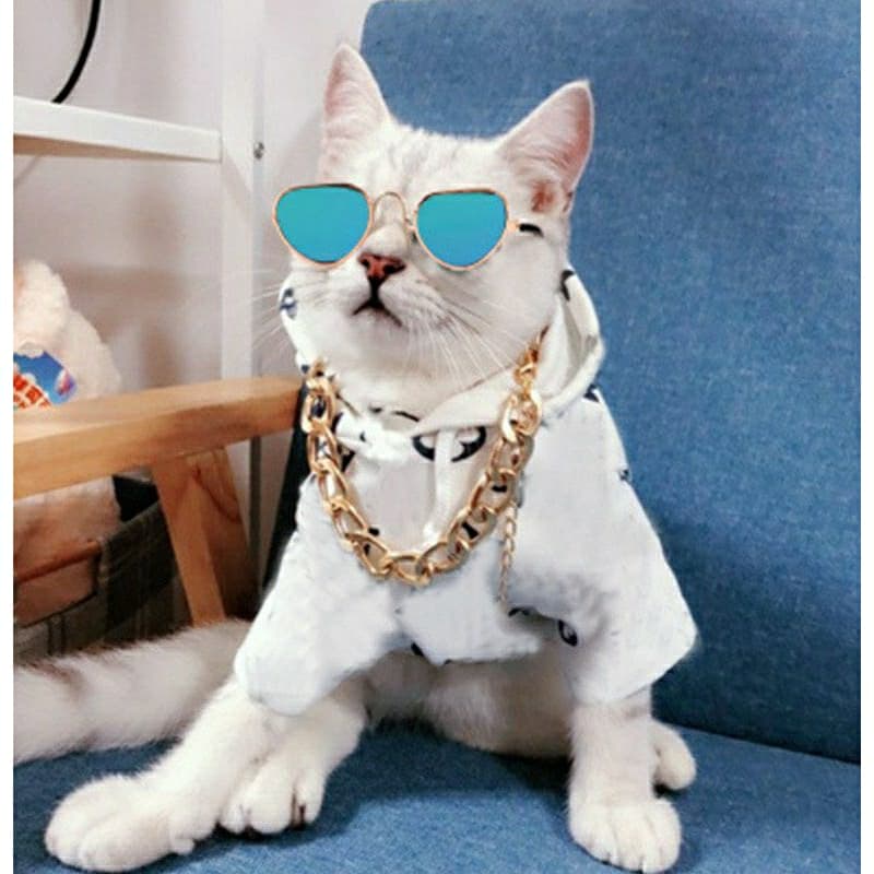 Óculos Pet óculos para cachorro