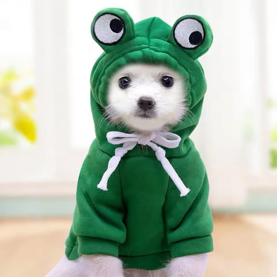 Moletom pet sapinho para cachorro e gato