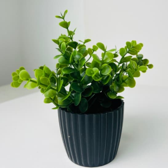 Vasinho com folhagem de eucalipto artificial para decoração