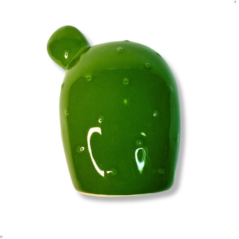 Cofre Cofrinho Cacto Decorativo de Cerâmica