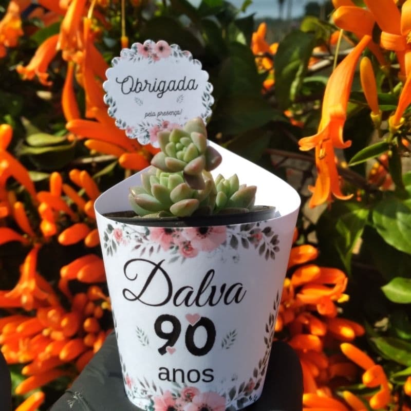 Rótulos personalizados para suculentas -kit 50 unidades-Aniversário 90 anos-