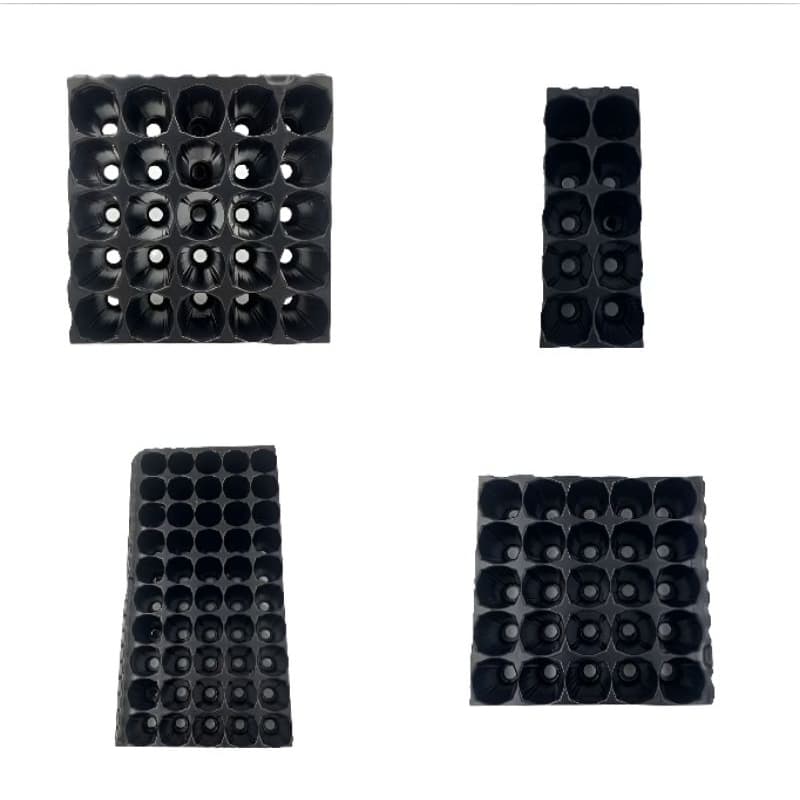 Bandeja sementeira para hortaliças e Temperos 10/20/25/50 células