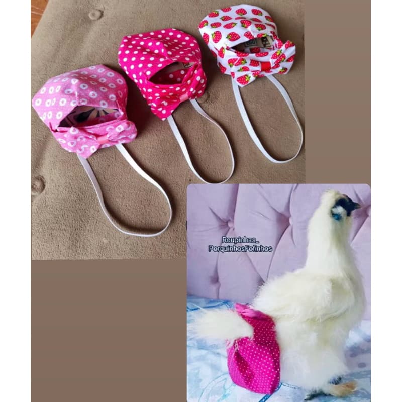 roupa pet fralda para galinha, galo e pato