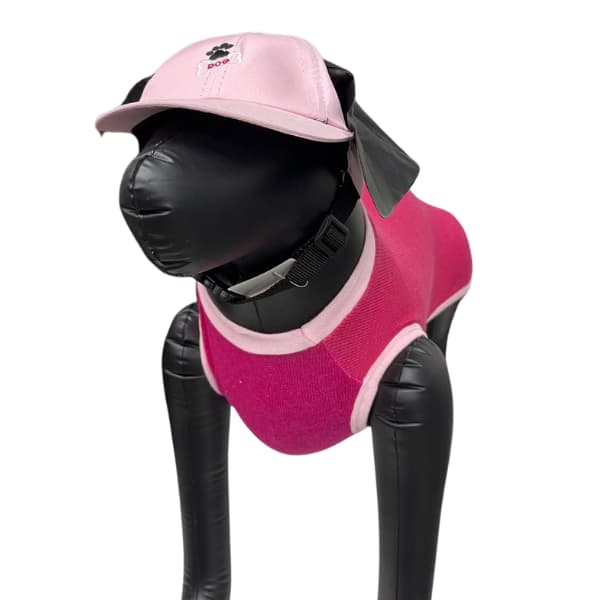 Boné Chapéu Para Pets Cães Cachorro Gato e Gatinhos.