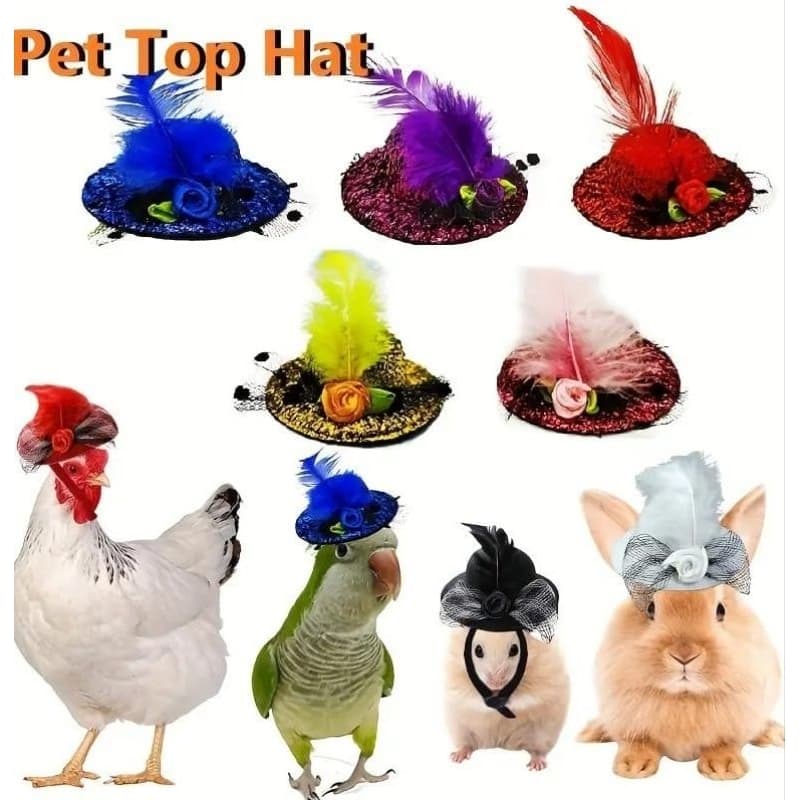 Chapéu pet pequeno Mini chapéu pet