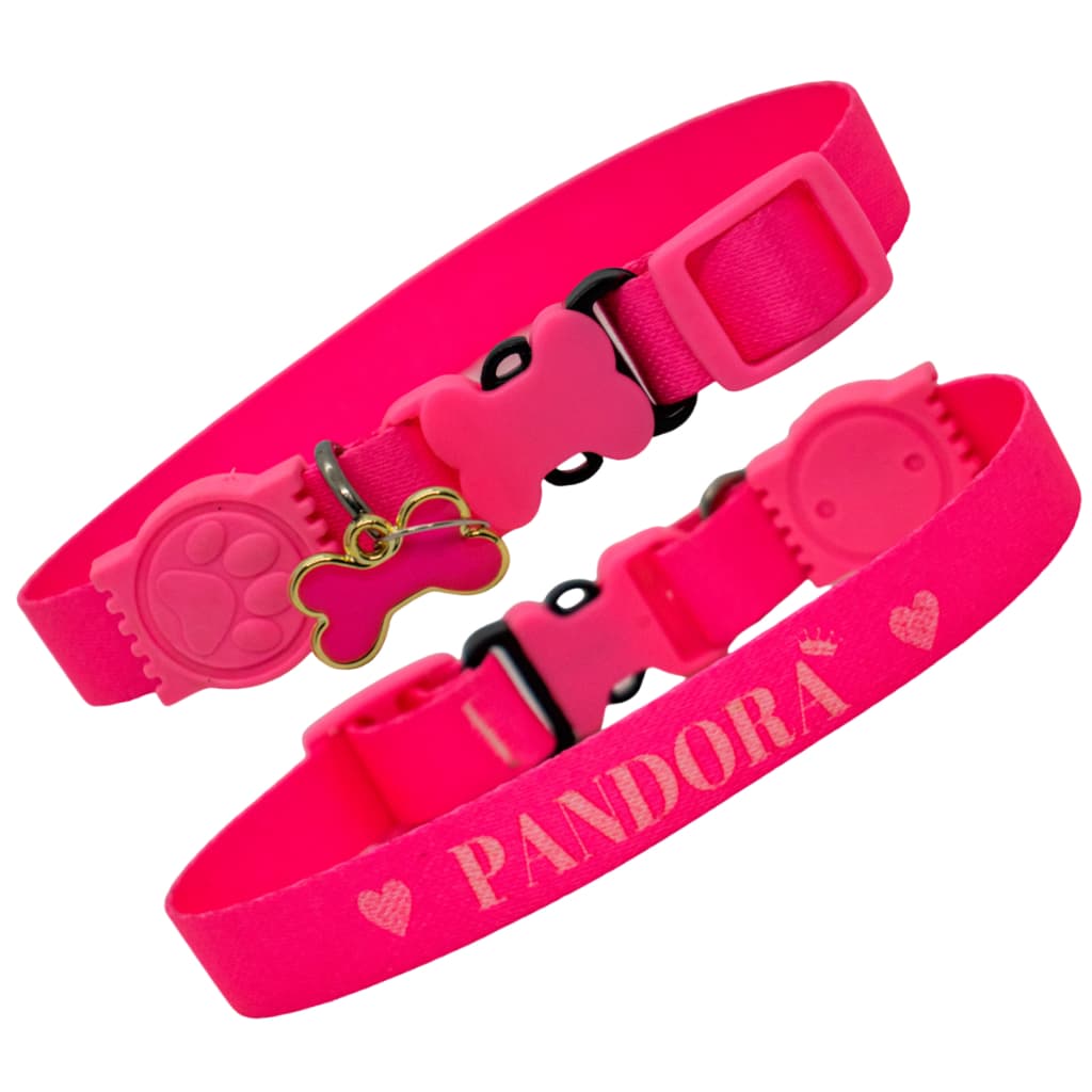 coleira personalizada com nome de identificação ajustável