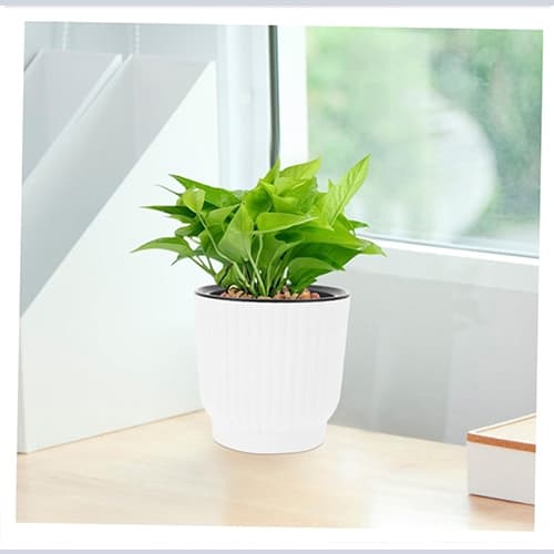 Kit 1/6 Peças - Vaso Auto Irrigável Classic - Decorativo