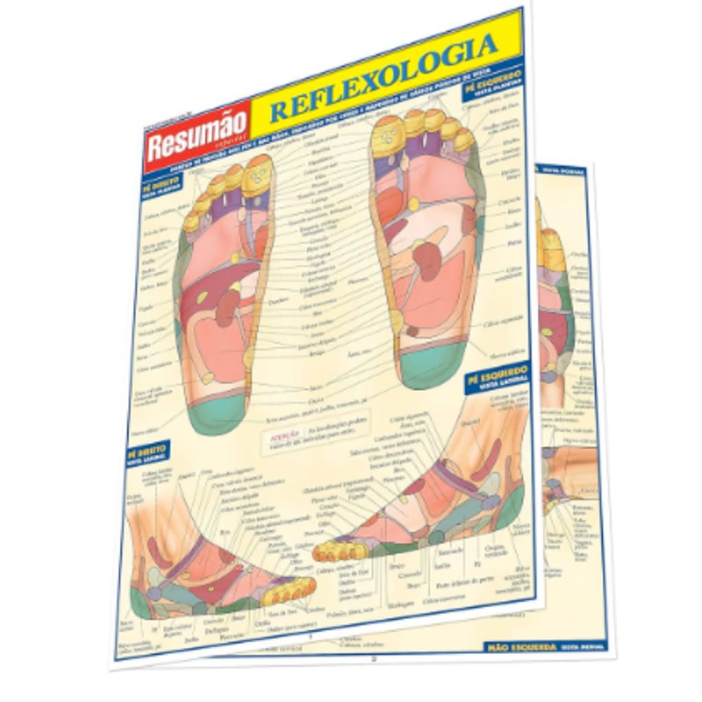 Mapa Reflexologia Podal e Palmar Resumão
