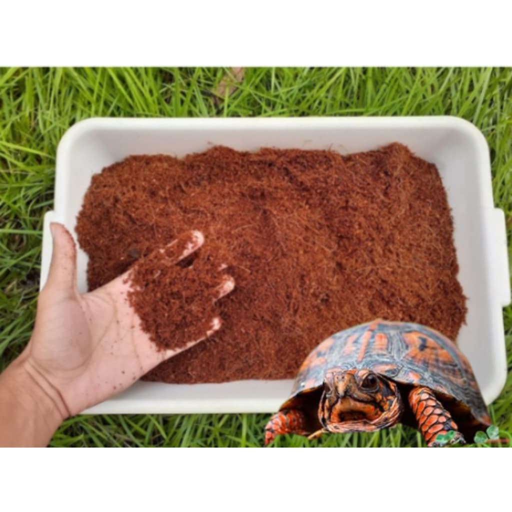 Pó de Coco Para Jabutís E Cágados 5 Litros, Ideal Para Terrários E Criatórios Animais