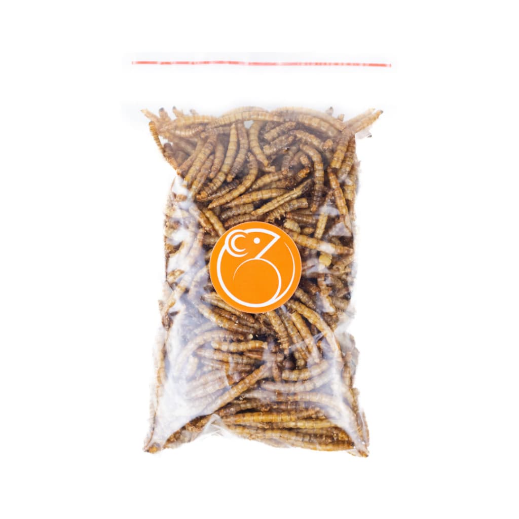 Larva de Tenebio Desidratado para Hamster Rato twister Gerbil Camundongo Roedores Répteis Pássaros