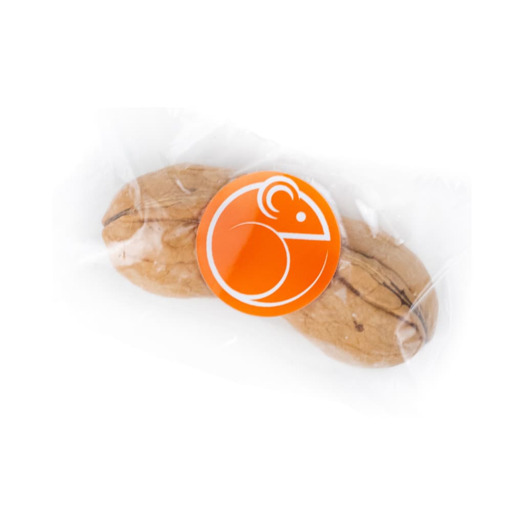 Noz com casca Petisco para Desgaste dentes de Hamster Gerbil Roedores