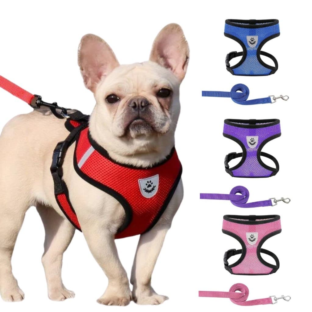 Kit Guia + Peitoral Malha de Náilon Flexível Reflexiva Respirável Fivela de Metal Ajustável para Cachorro Gato